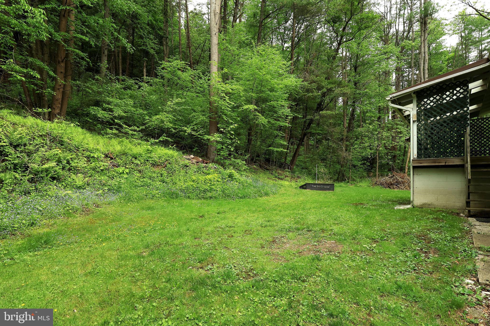 904 Moose Run Road Bellefonte, PA 16823 - Photo 49 of 62