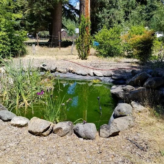 400 Red Blanket Road Prospect, OR 97536 - Photo 16 of 19 Additional Photo