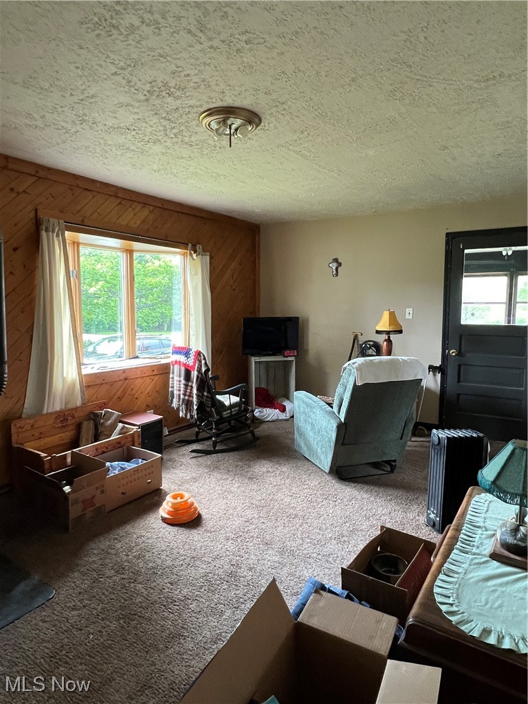 3239 Tower Road Dorset, OH 44032 - Photo 8 of 47 Gallery Image 8