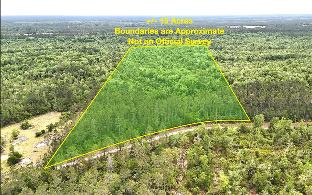 Sweet Gum Road Glen St. Mary, FL 32040 - Photo 2 of 44