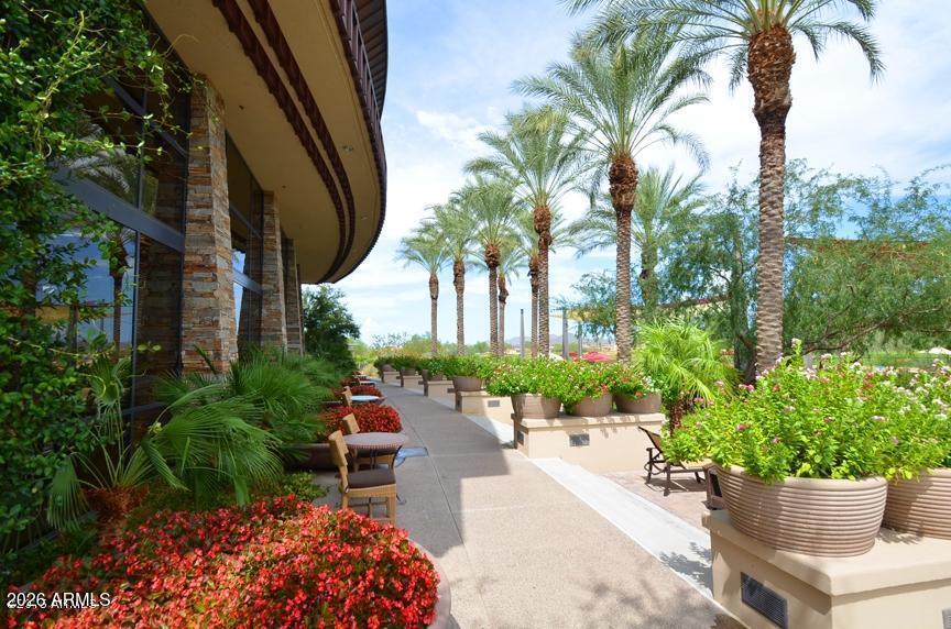 12510 West Bajada Road Peoria, AZ 85383 - Photo 67 of 84 22 Beautiful Flowers Everywhere !