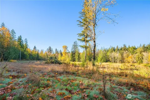 a view of a yard with trees