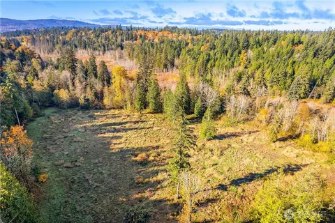 a view of a yard with trees