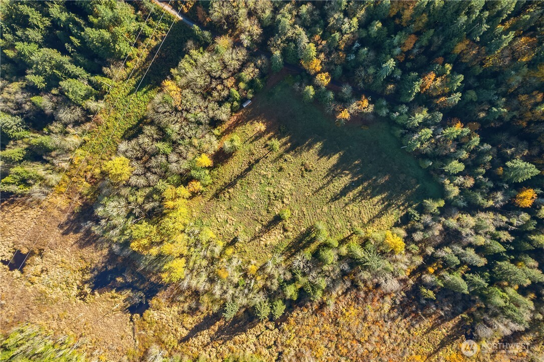 25520 Southeast Old Black Nugget Road Issaquah, WA 98029 - Photo 14 of 14 a view of a tree