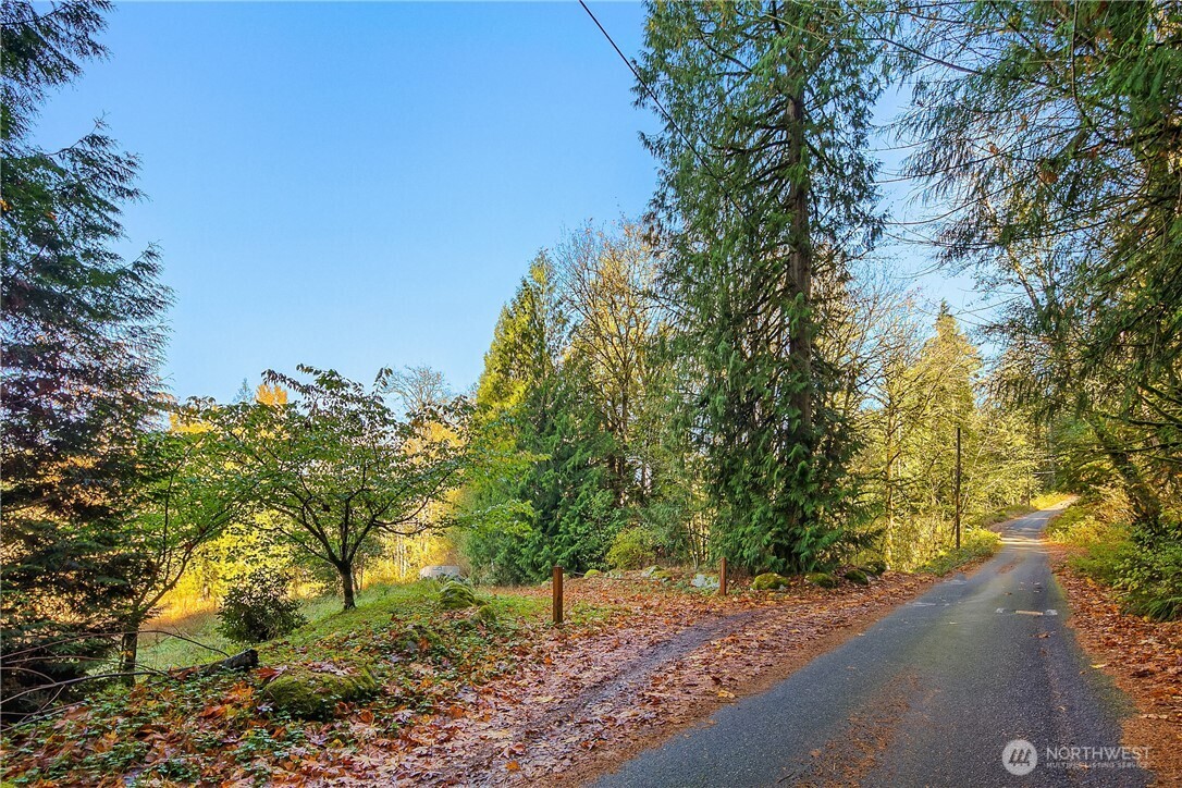 25520 Southeast Old Black Nugget Road Issaquah, WA 98029 - Photo 2 of 14 a view of a street with some trees