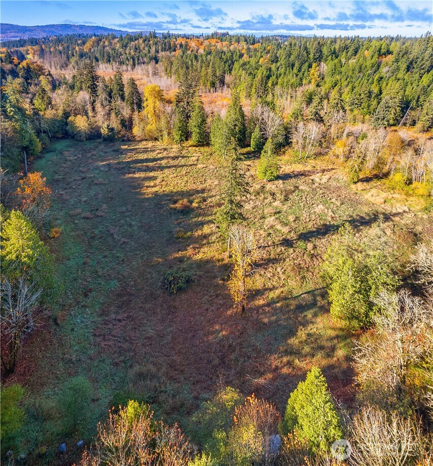 25520 Southeast Old Black Nugget Road Issaquah, WA 98029 - Photo 5 of 14