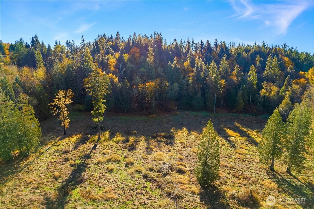 25520 Southeast Old Black Nugget Road Issaquah, WA 98029 - Photo 6 of 14 a view of a yard