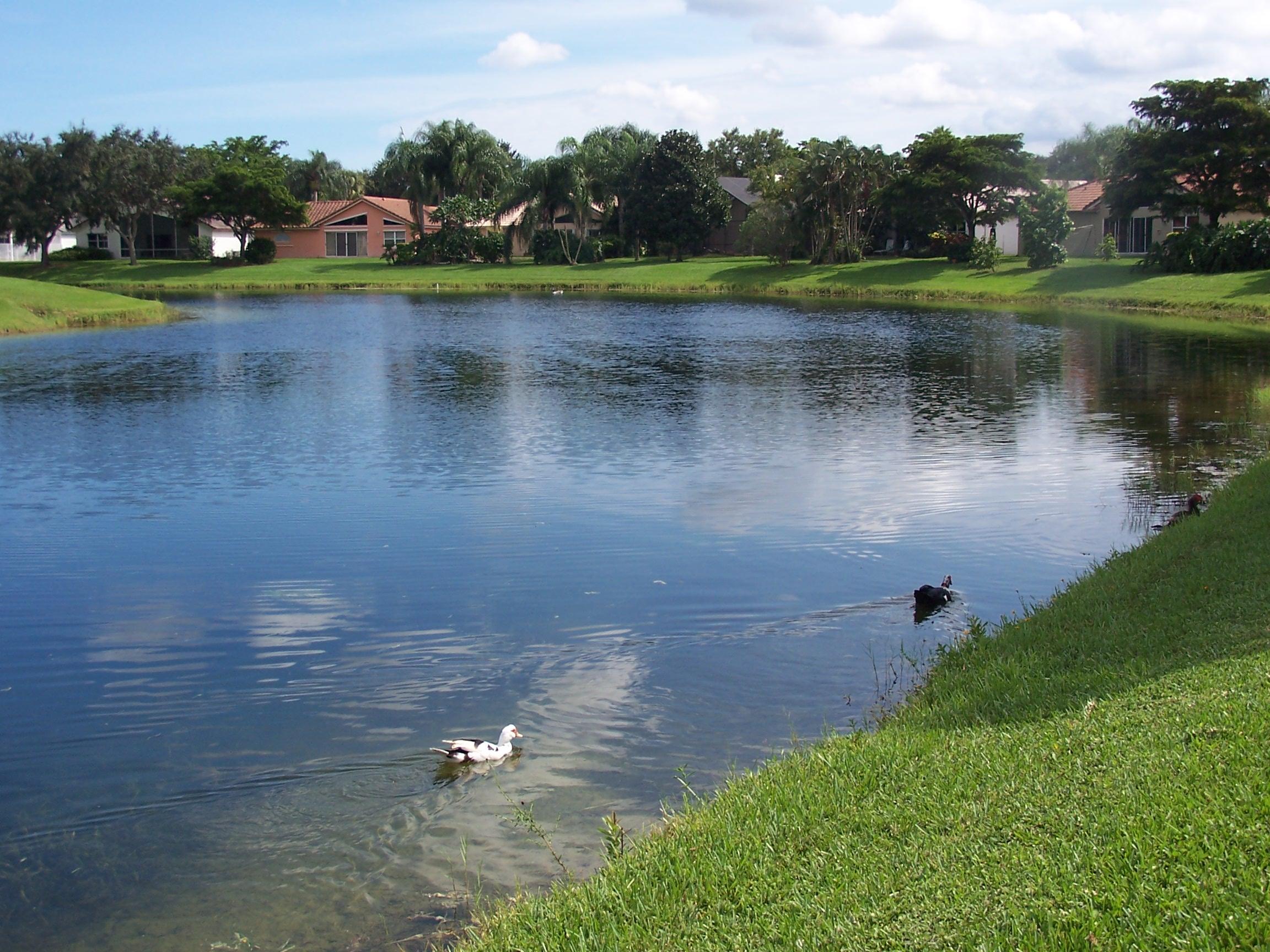 112 Cove Road Greenacres, FL 33413 - Photo 15 of 25 100_5698