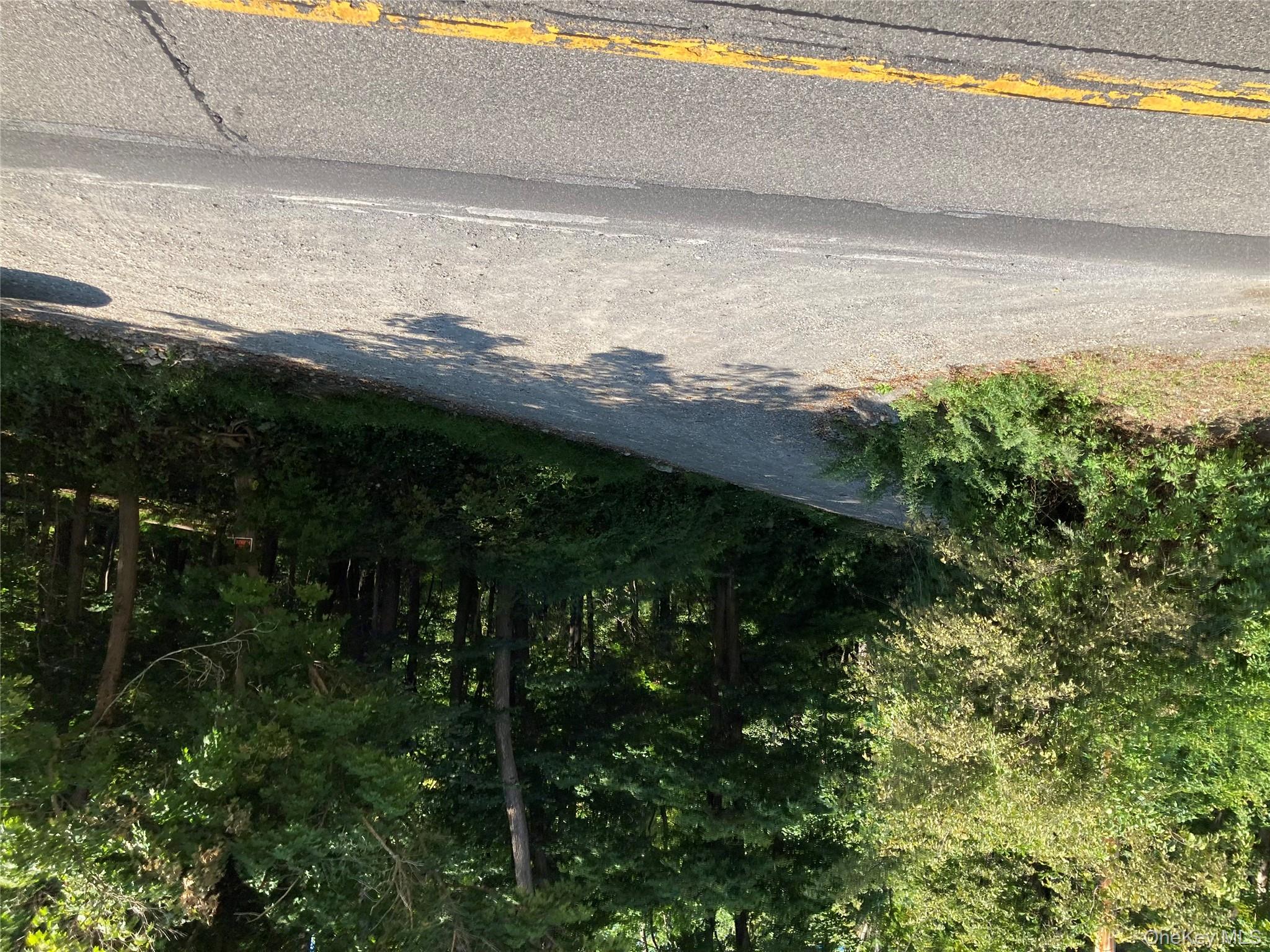 Melzingah Road Fishkill, NY 12524 - Photo 3 of 4 a view of path and green space