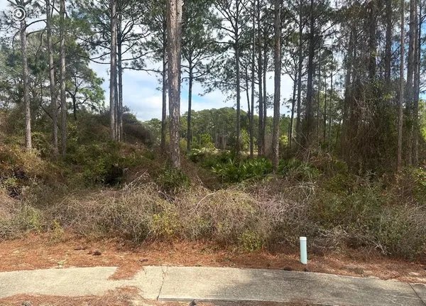 $37,500 | 130 Spoonbill Court, Carrabelle, FL 32322