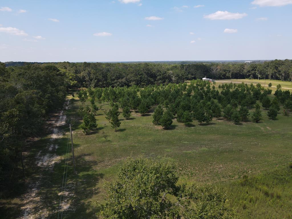 1454 Middleton Road Dothan, AL 36301 - Photo 4 of 21