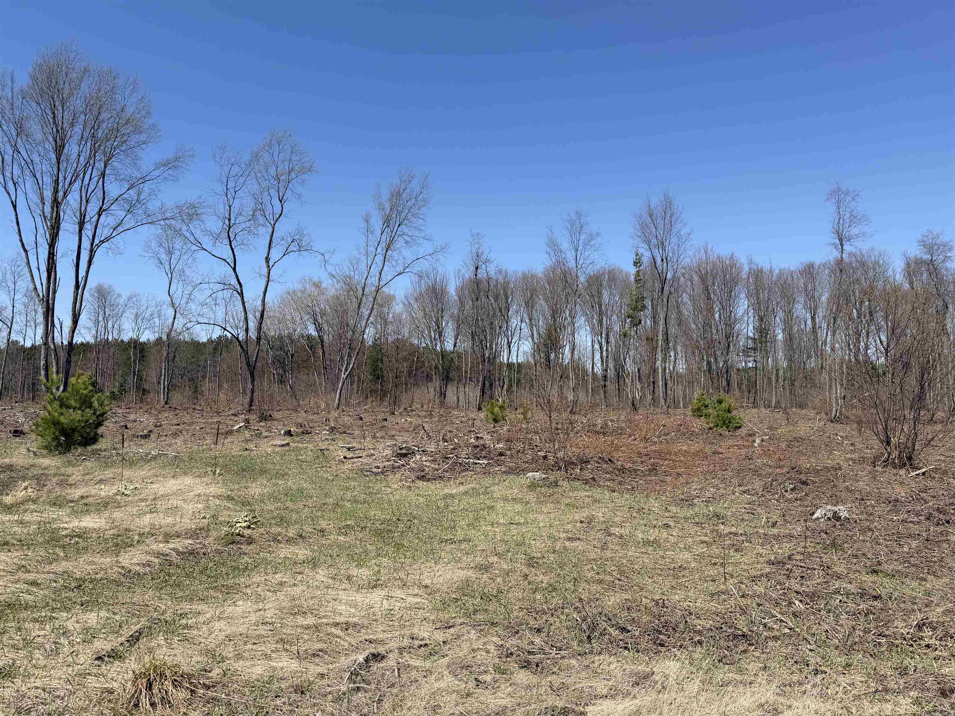 0 Landis Road Thompsonville, MI 49683 - Photo 24 of 26