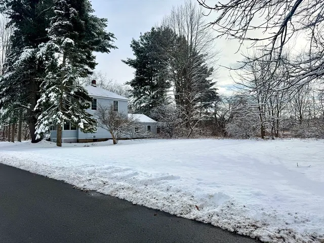 a view of dirt yard with a large tree