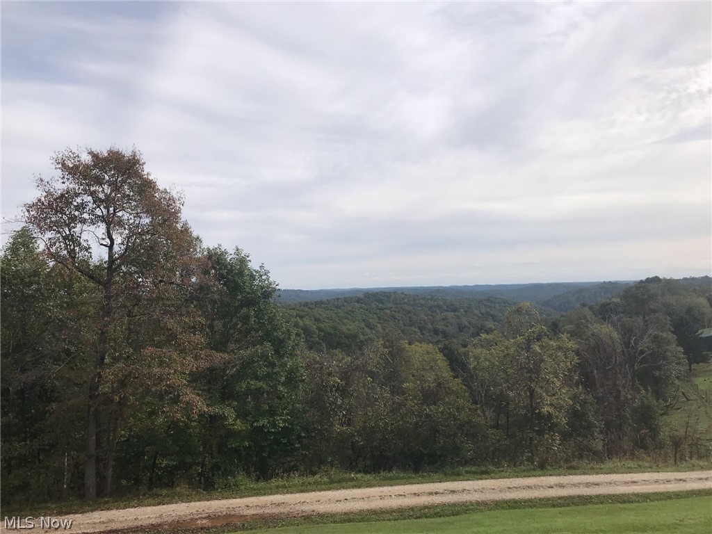 5175 Wilding Road Ravenswood, WV 26164 - Photo 3 of 15