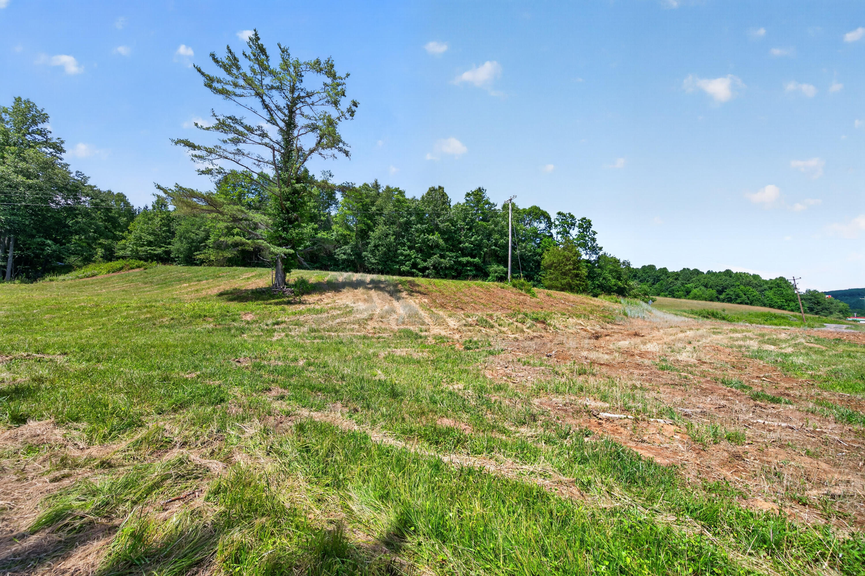 6196 Chances Creek Road Fancy Gap, VA 24328 - Photo 54 of 78 55
