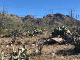 1713 Ruta Caravela, Unit 51 Rio Rico, AZ 85648 - Photo 1 of 6
