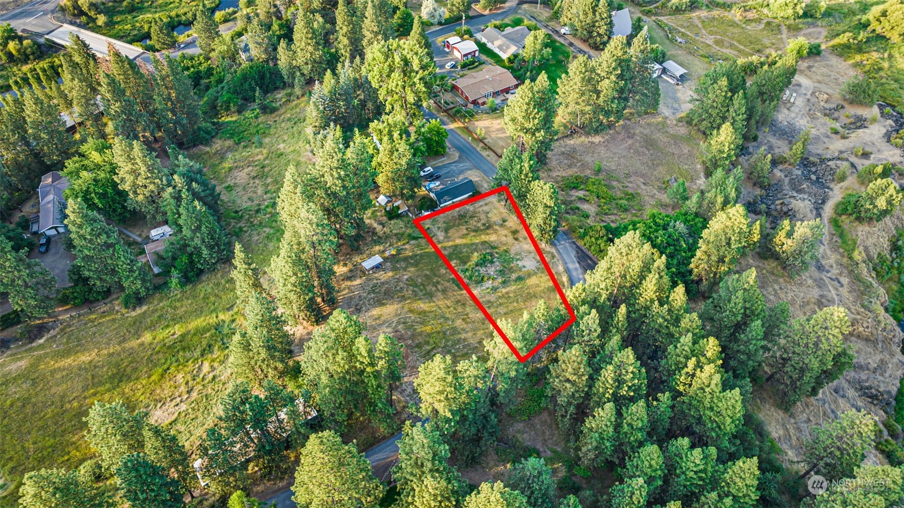 305 South River Road Palouse, WA 99161 - Photo 4 of 11 a close up of a tree