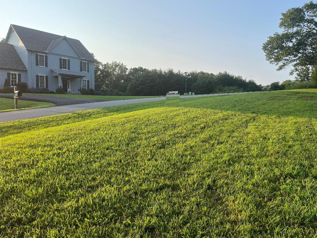 Lot 26 Palmetto Bluff Road Hardy, VA 24101 - Photo 2 of 6 a view of a house with a big yard