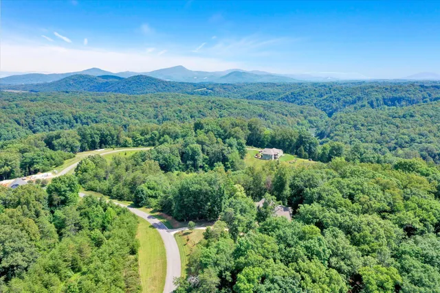 a view of a lush green forest with trees in the background