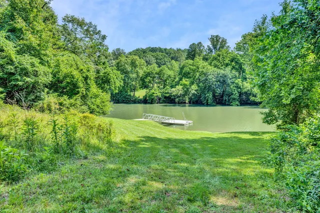 a view of a field with a tree