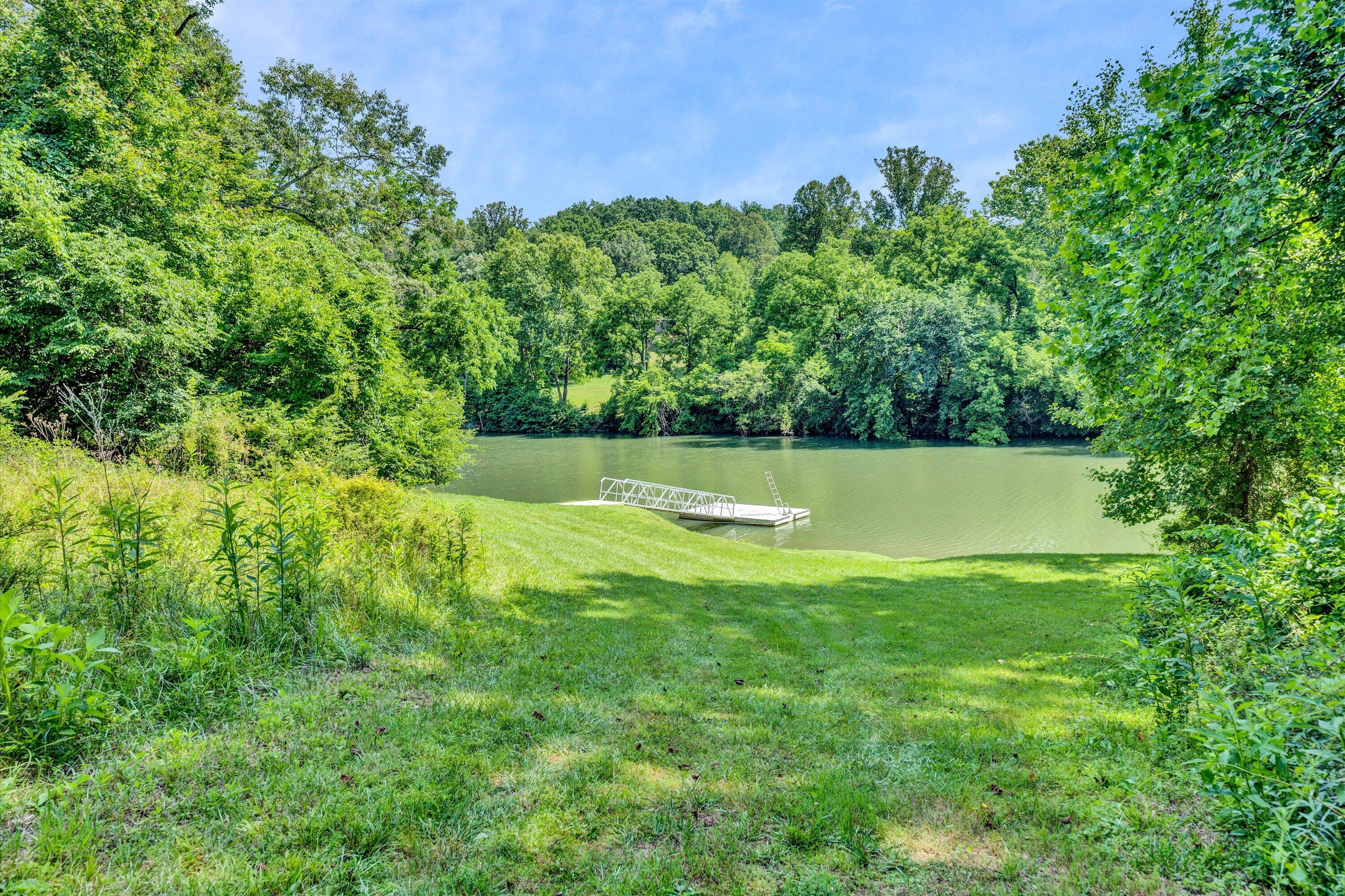 Lot 26 Palmetto Bluff Road Hardy, VA 24101 - Photo 6 of 6 a view of a field with a tree