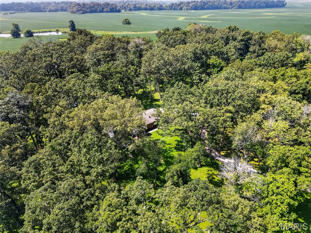 8861 Gilmore Lake Road Columbia, IL 62236 - Photo 55 of 82 Gallery Image 55