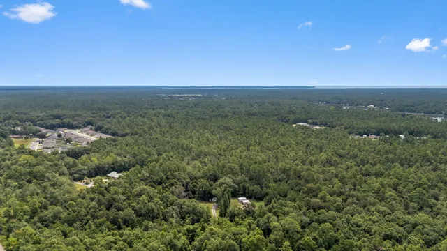 a view of a city with lush green forest