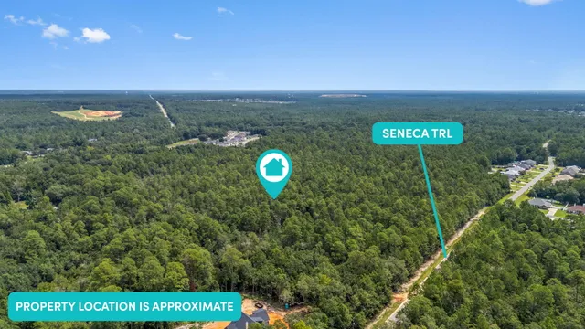 a view of a back yard of the house