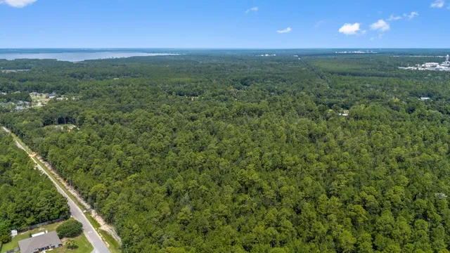 a view of a green field with lots of bushes