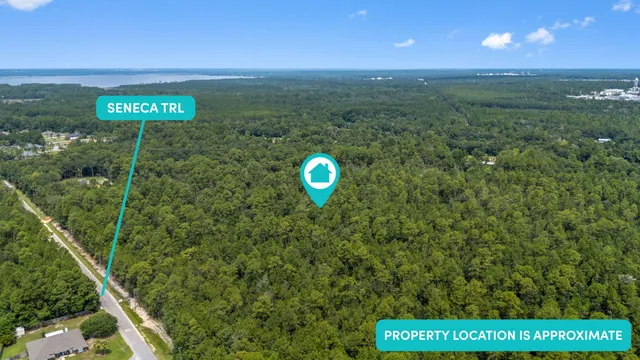 a view of a back yard