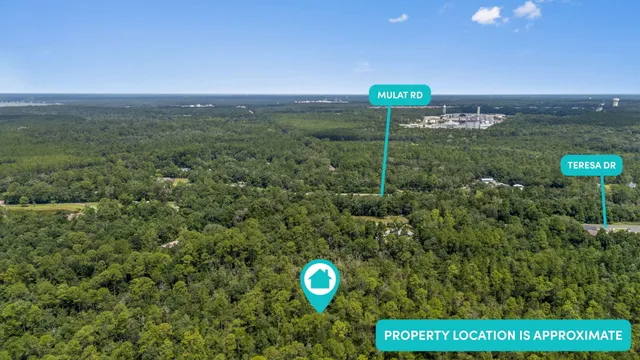 a green field with lots of tress in it