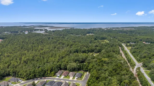 a view of a city with lush green forest