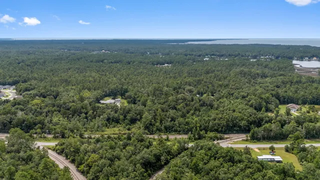 a view of a green field with lots of bushes
