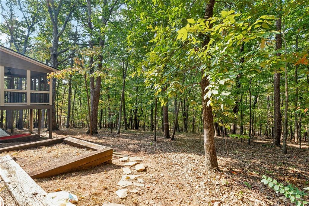 43 Morgan Walk Jasper, GA 30143 - Photo 37 of 55 a backyard of a house with lots of green space
