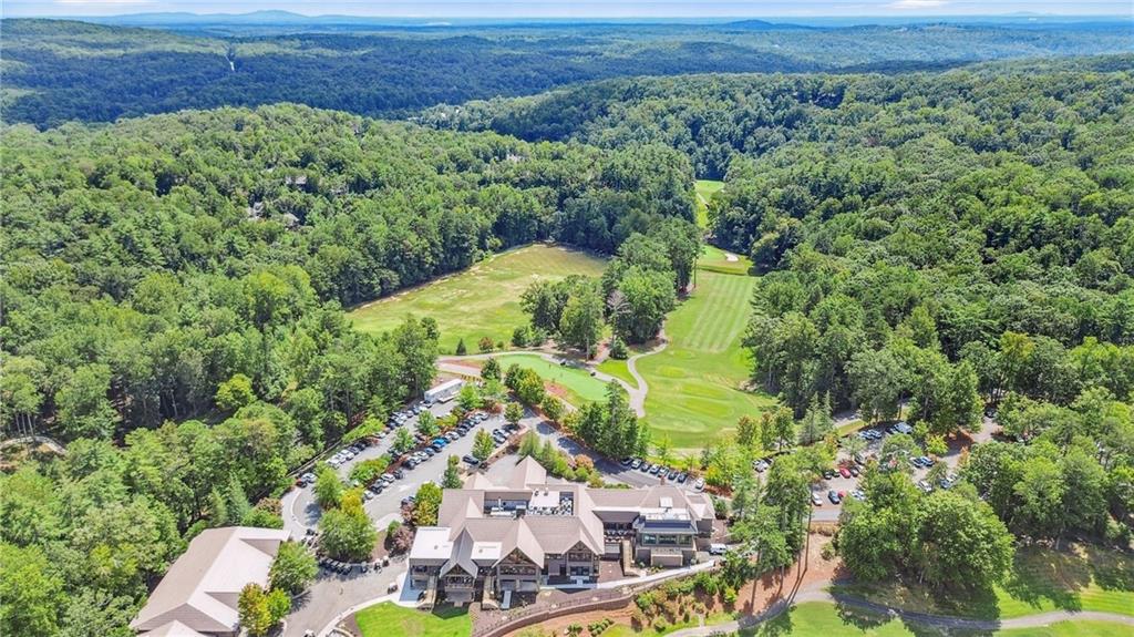 43 Morgan Walk Jasper, GA 30143 - Photo 42 of 55 an aerial view of a house with a yard