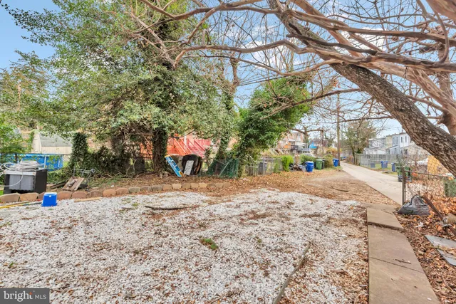 a backyard of a house with a large tree