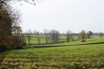 3100 Old Lemons Mill Road Lexington, KY 40511 - Photo 40 of 40 Photo 40