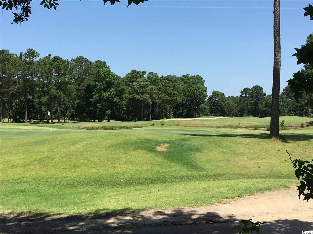 9507 Indigo Club Drive Murrells Inlet, SC 29576 - Photo 24 of 25 Gallery Image 24