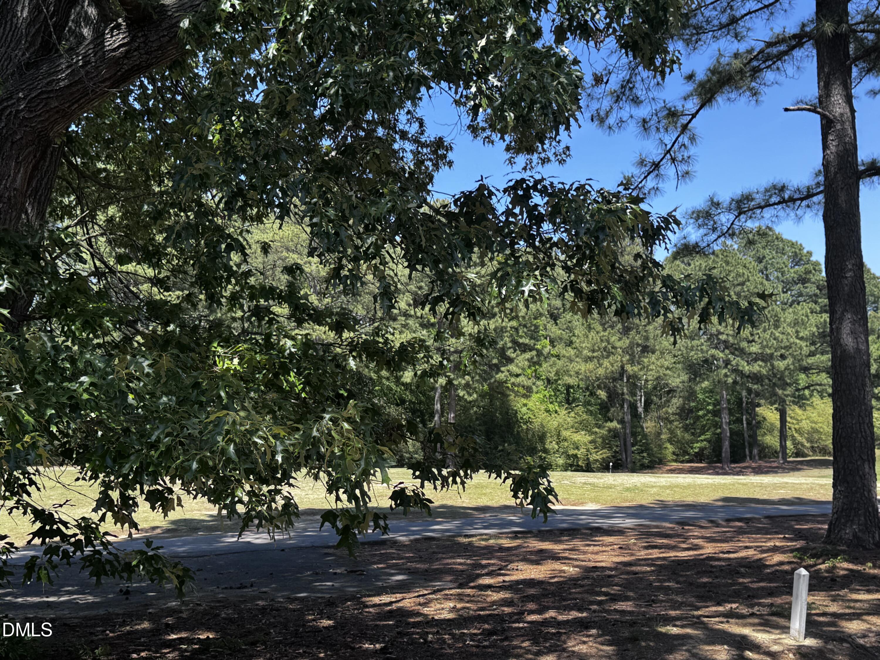 2212 Persimmon Ridge Drive Raleigh, NC 27604 - Photo 15 of 20 a view of a yard with plants and trees