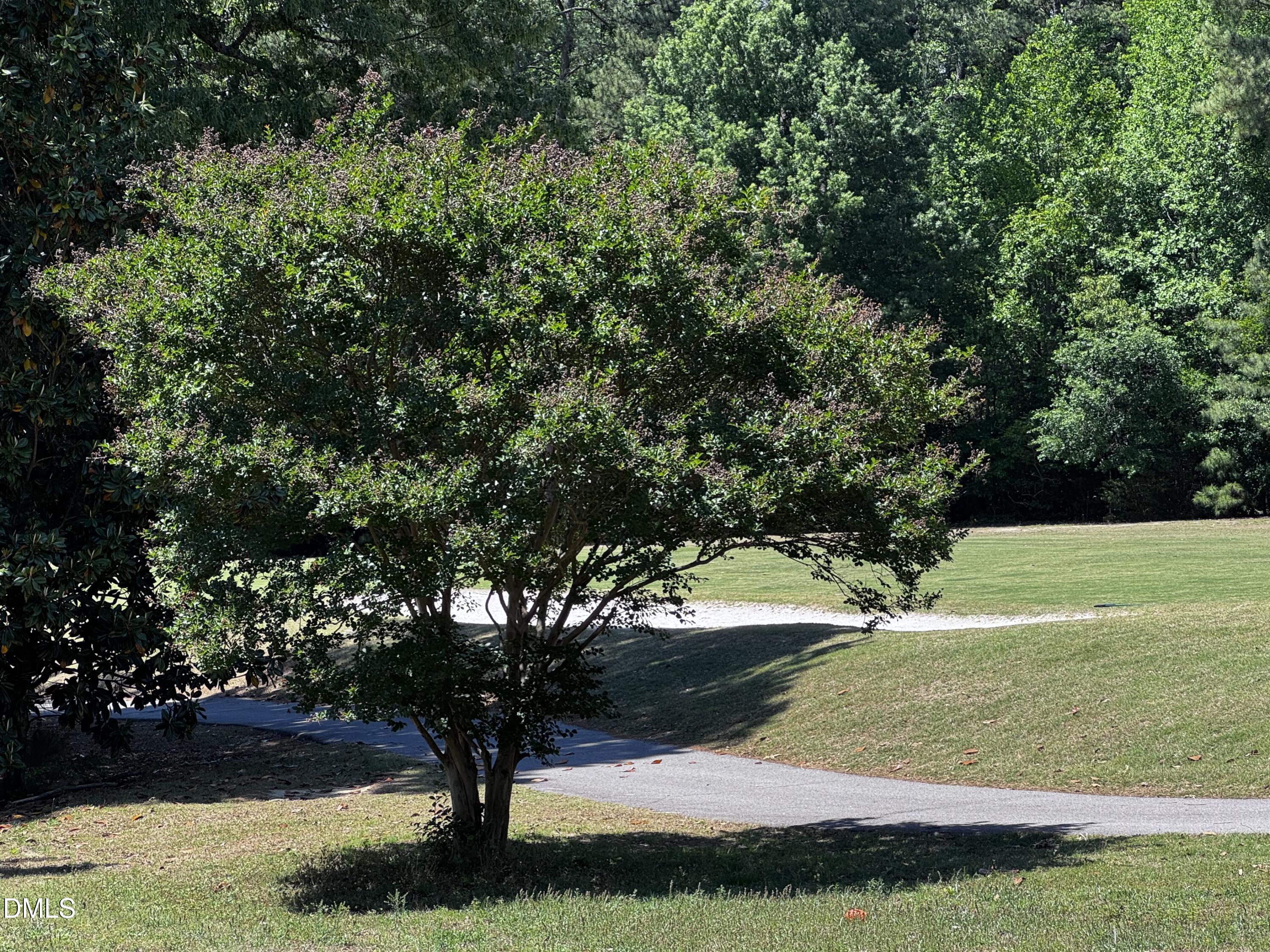 2212 Persimmon Ridge Drive Raleigh, NC 27604 - Photo 4 of 20