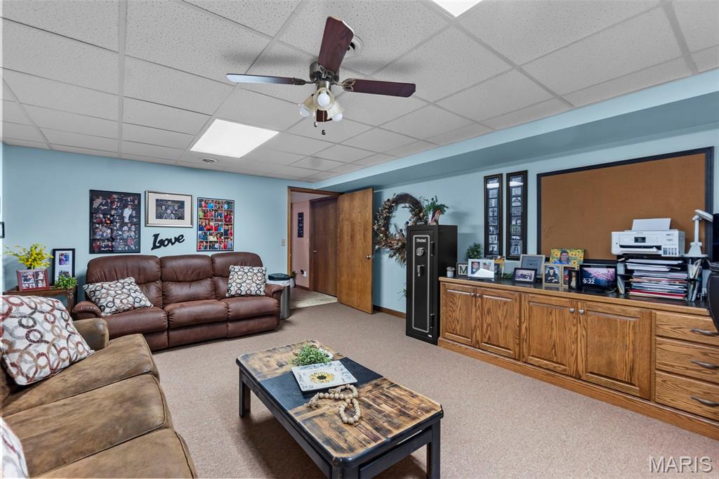 277 Althaea Lane Jackson, MO 63755 - Photo 40 of 41