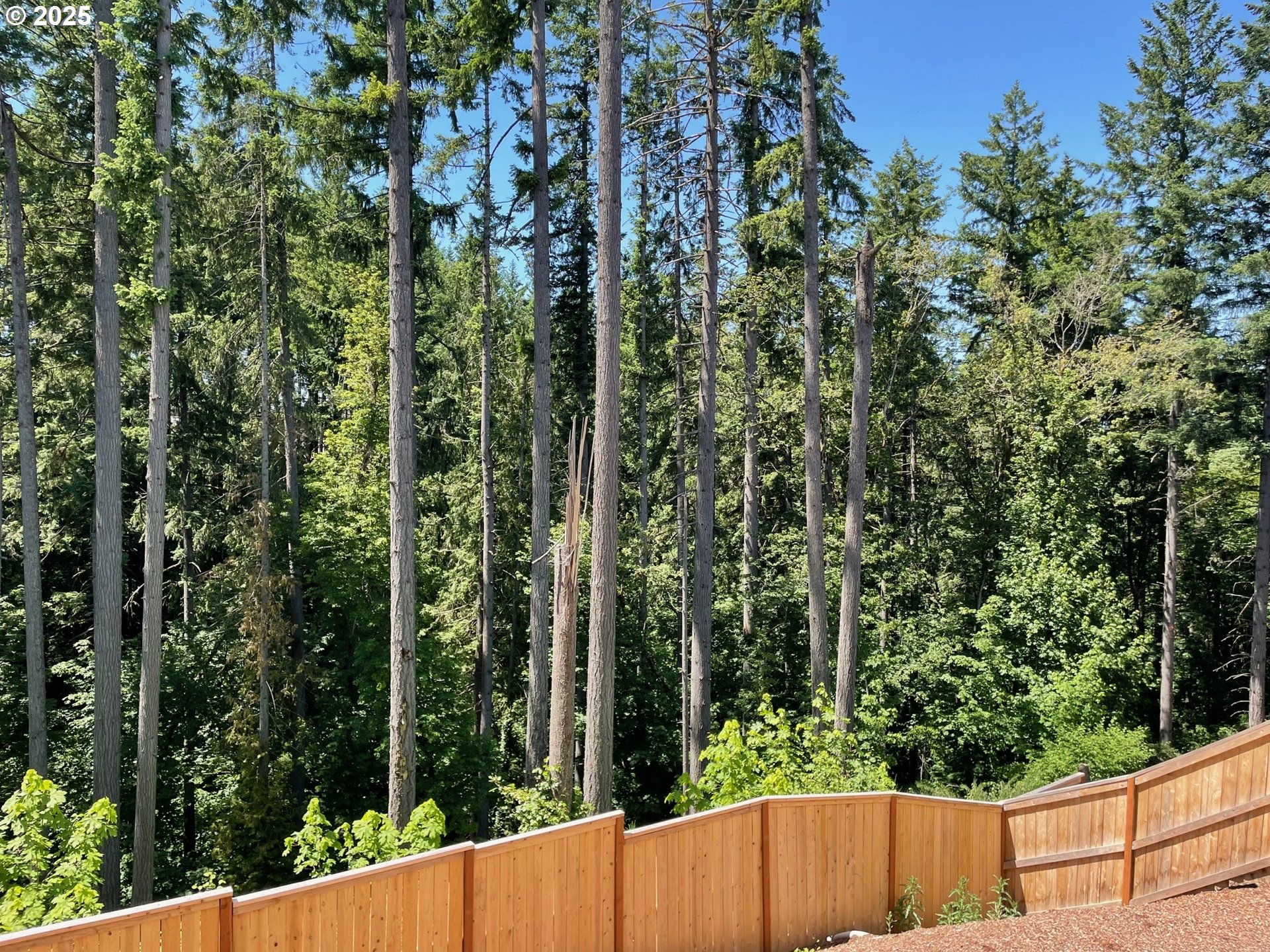 7839 Southwest Thornbridge Terrace, Unit 10 Beaverton, OR 97007 - Photo 29 of 35 Backyard