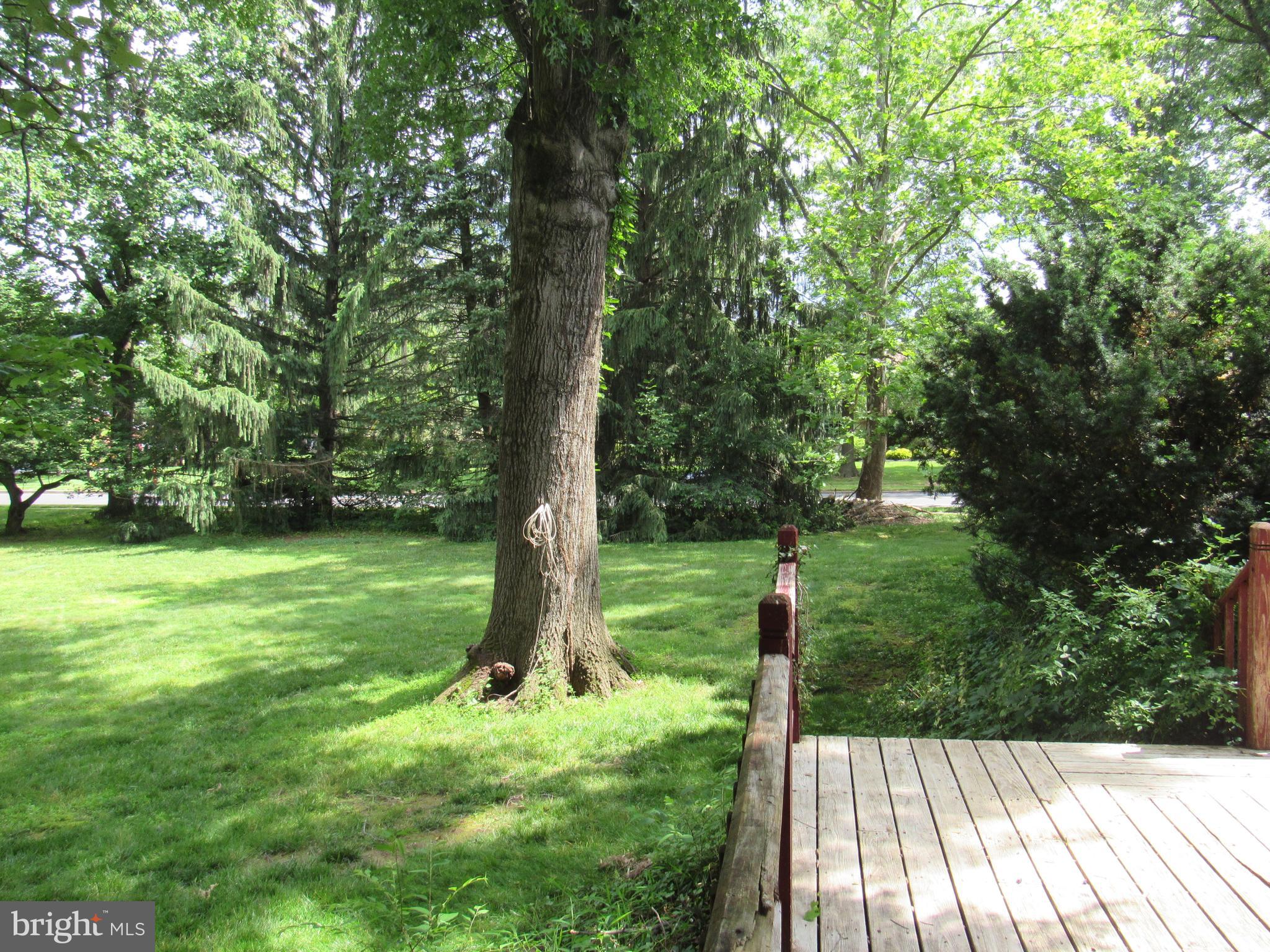 9 Cherokee Road Doylestown, PA 18901 - Photo 26 of 30 Back Yard