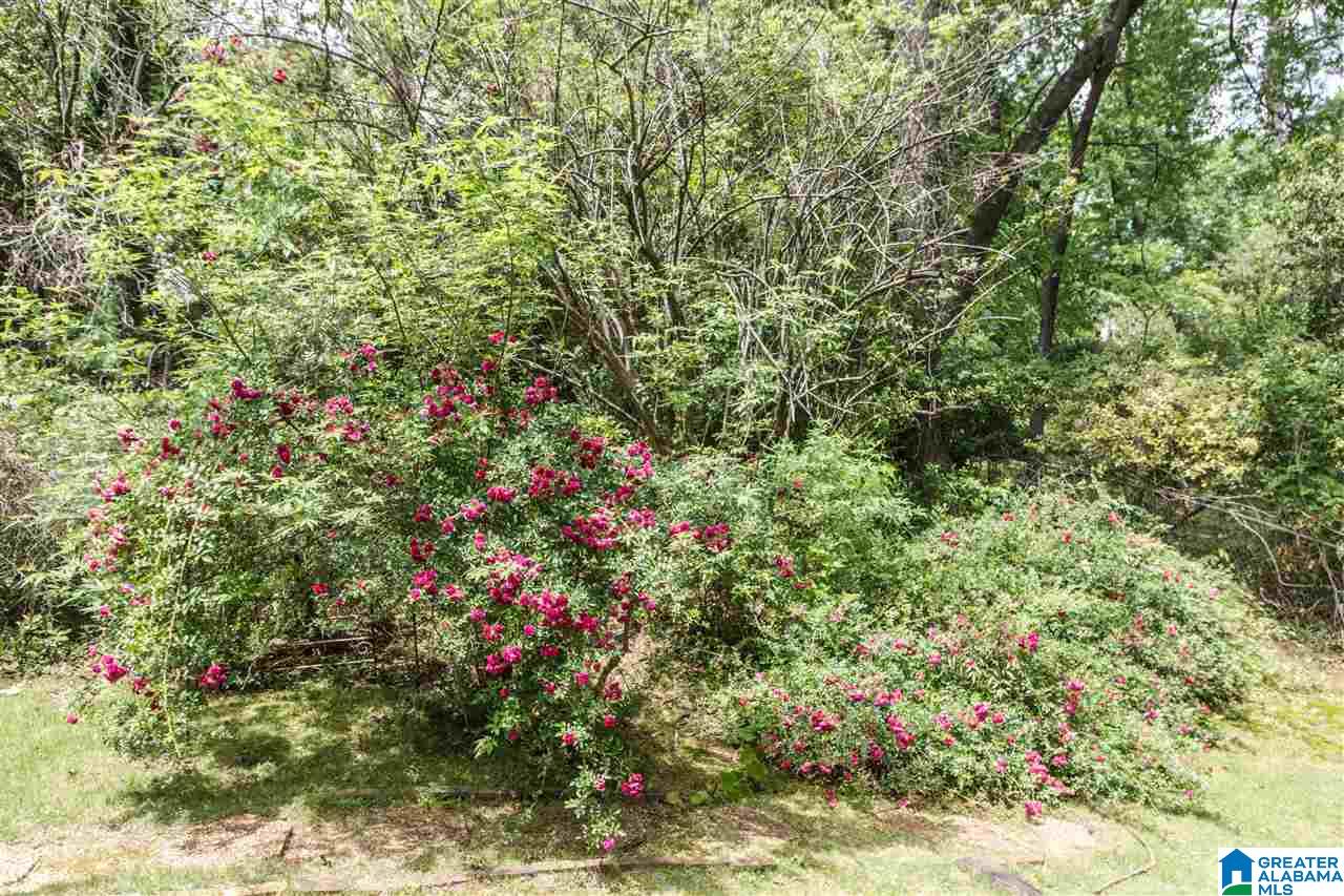 3324 Country Club Road Birmingham, AL 35213 - Photo 5 of 10