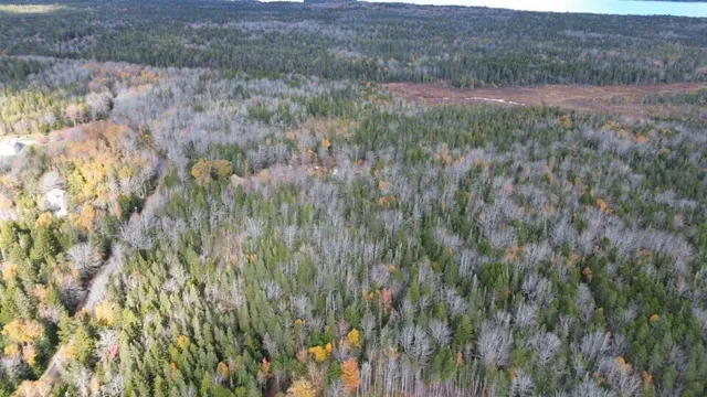 $160,000 | M51-l8 Grand Marsh Bay Road, Corea, ME 04624
