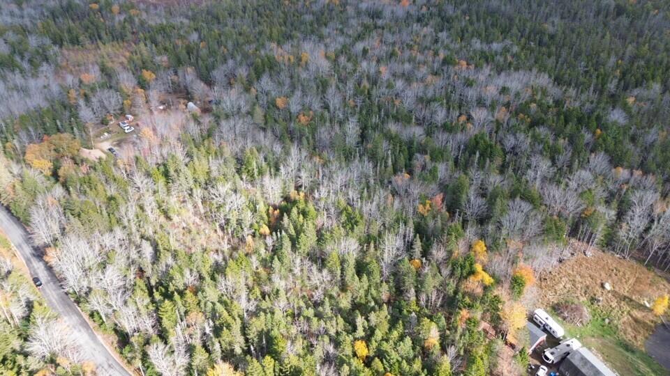 M51-l8 Grand Marsh Bay Road Corea, ME 04624 - Photo 15 of 42 15