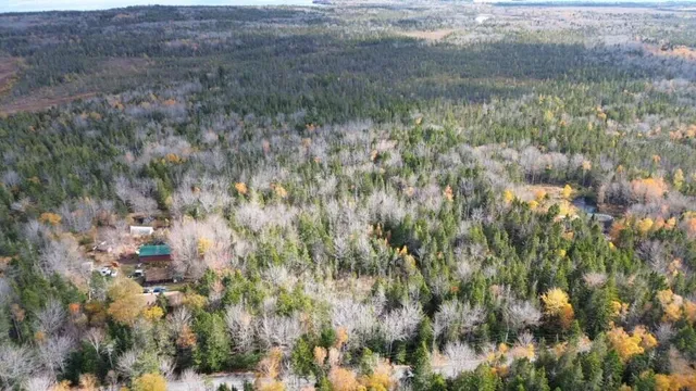 $160,000 | M51-l8 Grand Marsh Bay Road, Corea, ME 04624