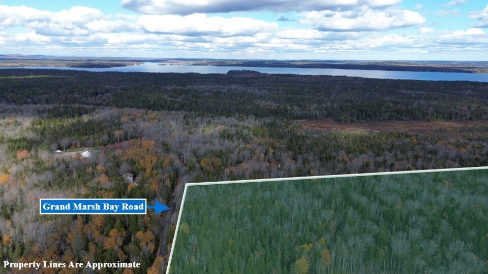 M51-l8 Grand Marsh Bay Road Corea, ME 04624 - Photo 2 of 42 2