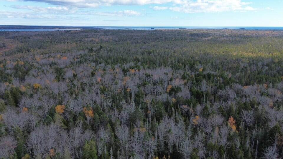 M51-l8 Grand Marsh Bay Road Corea, ME 04624 - Photo 25 of 42 25