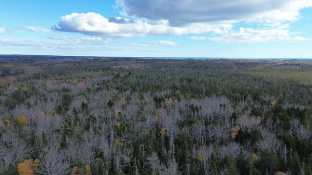 $160,000 | M51-l8 Grand Marsh Bay Road, Corea, ME 04624